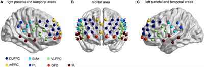 The impact of anxiety on the cognitive function of informal Parkinson’s disease caregiver: Evidence from task-based and resting-state fNIRS